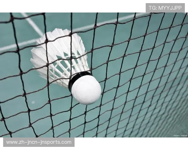 羽毛球球网构成